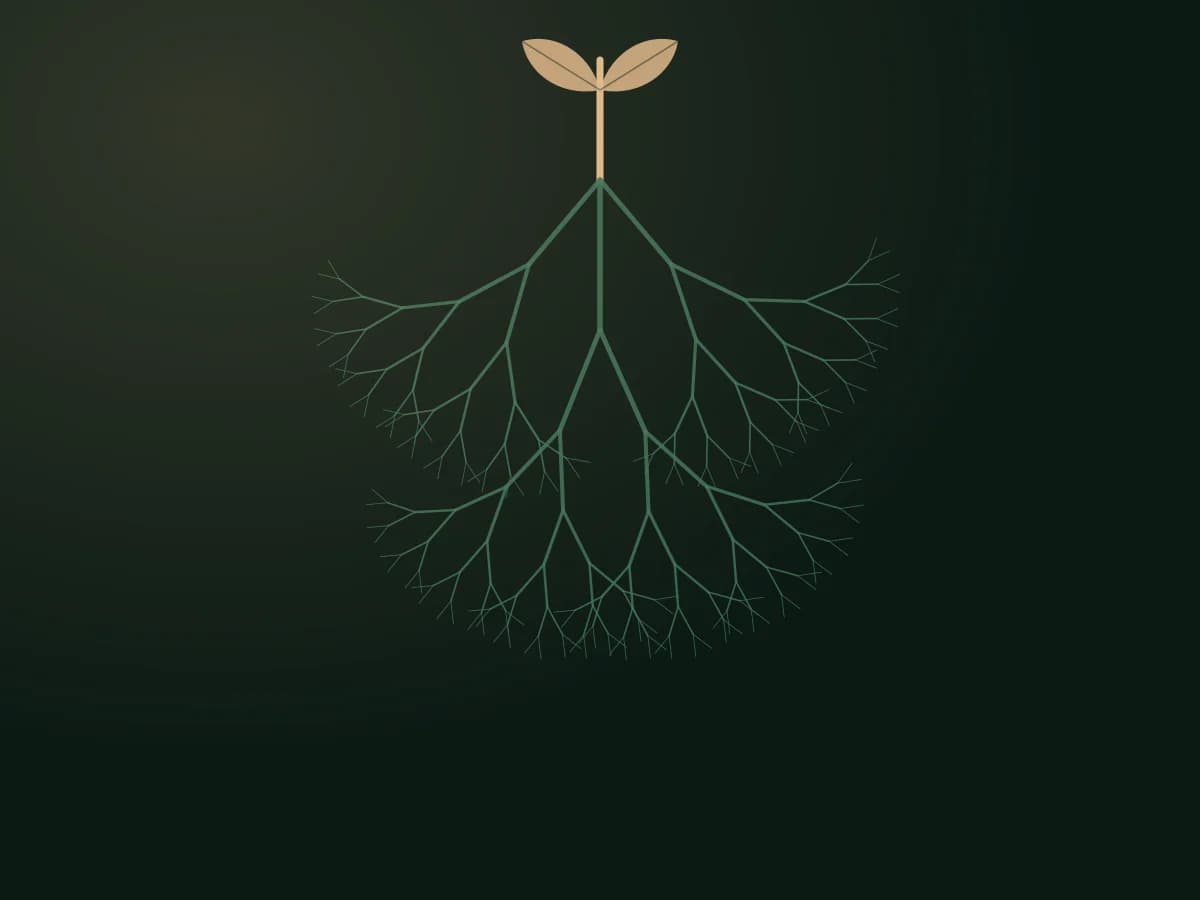 Roots and Bitters