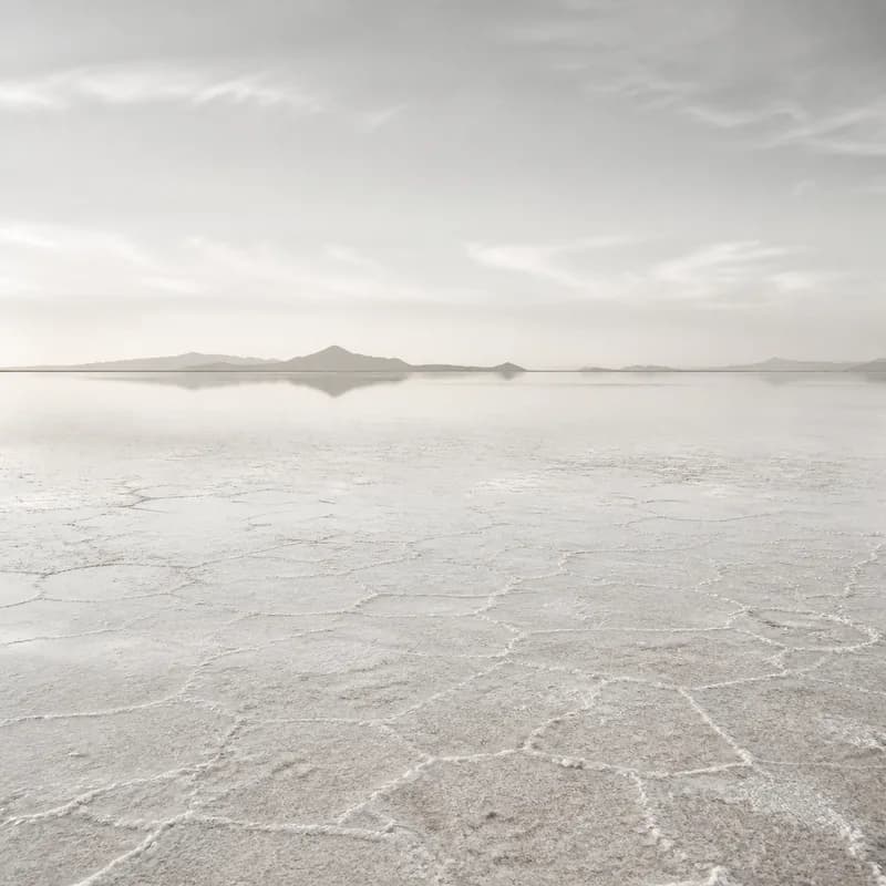 The Salt Flats