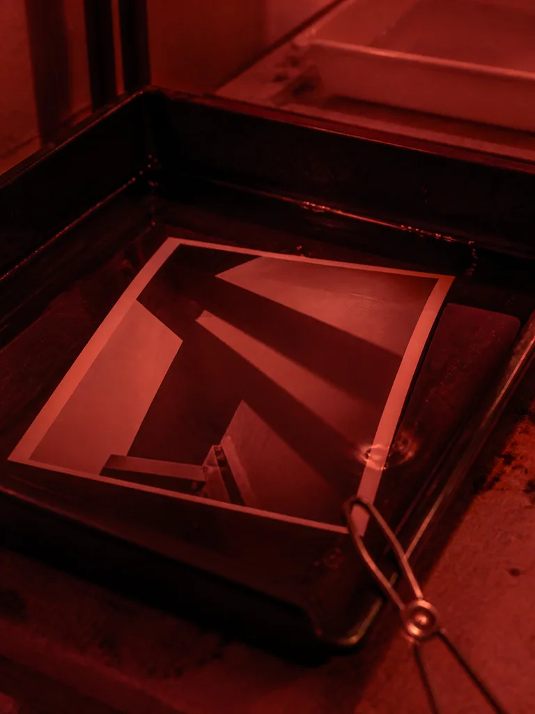 The Last Tide — project photo
